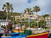 Camara_de_Lobos_madeira_spurek (2).jpg